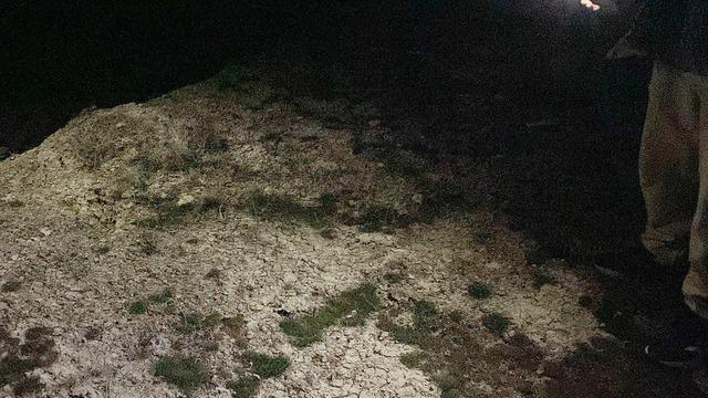 Sokak köpekleri saldırısından kahreden haber! 2 yaşındaki Rana feci şekilde can verdi