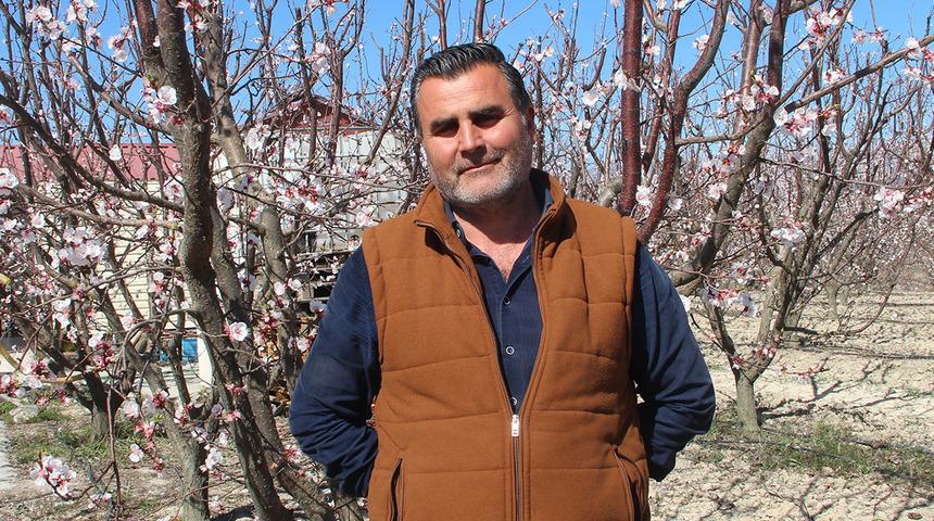 Neredeyse tamamını orası karşılıyor! O ilçe beyaza büründü, 2 milyondan fazla ağacı ile 200 bin ton üretiyorlar