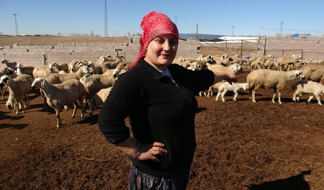 BABASINA-DESTEK-OLMAK-ISTEYEN-AYSE-300-_600593_177747