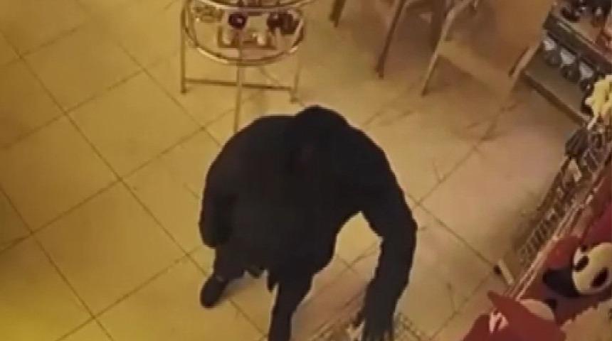 İş yerine giren hırsızdan şaşırtan hamle: Sadece papağanı çalıp kaçtı!