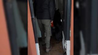 Yalova'da uyuşturucu operasyonu! 5 tutuklama