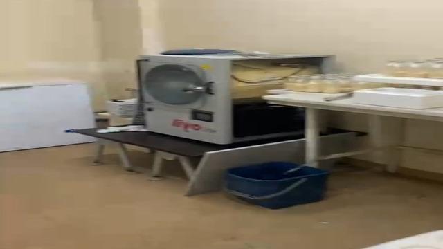 Gen tedavisi adı altında binlerce dolar talep ediyorlar! Bodrum katta hayvan kanlarıyla deneyler yapılmış... Klinik mühürlendi