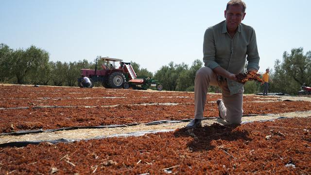 Avrupa ülkeleri kapış kapış alıyor! 310 milyon dolara ulaştı