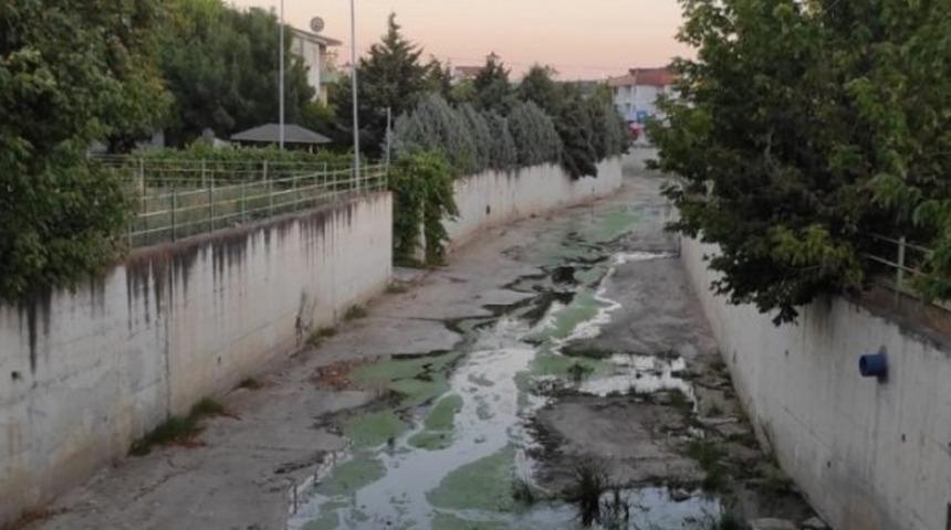 Değirmenaltı Deresi'nde kuraklık alarmı