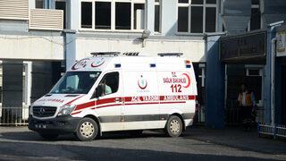 Trabzon'da şarbon paniği! Ölü ve yaralılar var