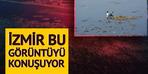 İzmir'in konuştuğu görüntü: Kirlilikten bu hale geldi! "Artışı başka türlü engellenemez"