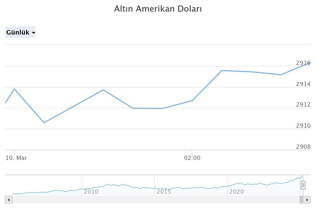 altn-amerikan-dolar (3)