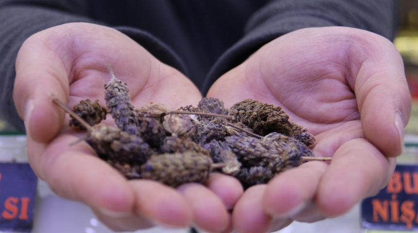 Ramazan ayında yoğun ilgi görüyor! Sigara tiryakilerine çözüm yolu: Karabaş otu! Faydaları saymakla bitmiyor