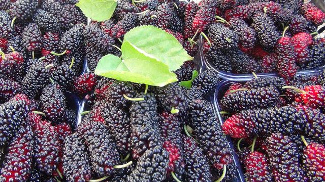 Kilosu 100 TL! Yarısından fazlası uçak kargo ve tırlarla yurt dışına gönderiliyor