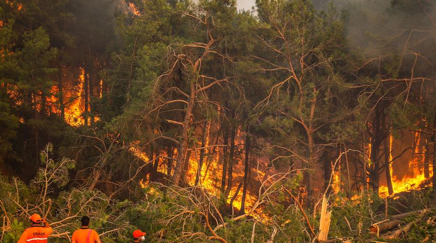 2024 yılının orman yangını bilançosu ağır! Kasıt ve kazadan 1956 orman yangını çıktı:  27 bin 484,56 hektar etkilendi