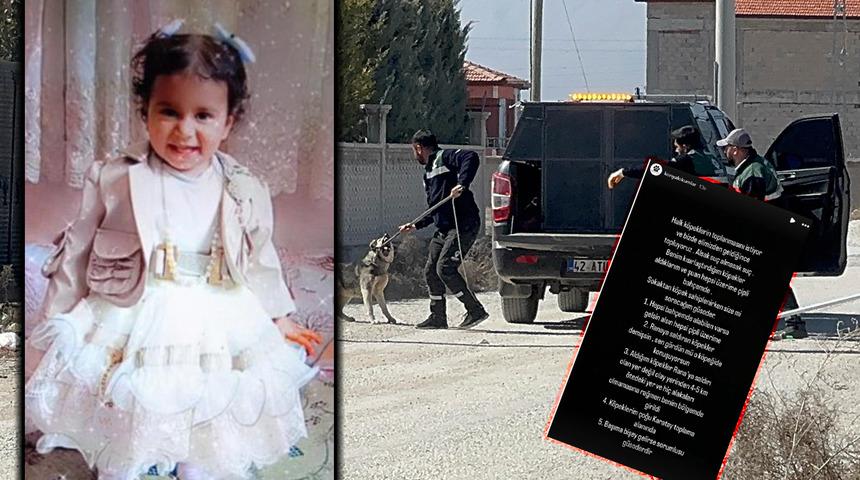 Sosyal medya bu iddiayı konuşuyor! Minik Rana'yı öldüren köpekler kaçırıldı mı?