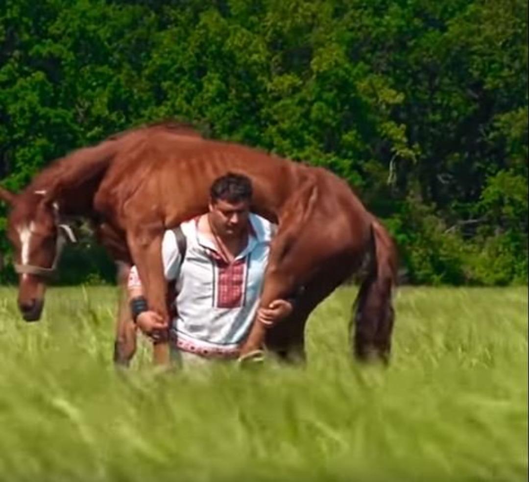 400 kiloluk atı sırtladı..