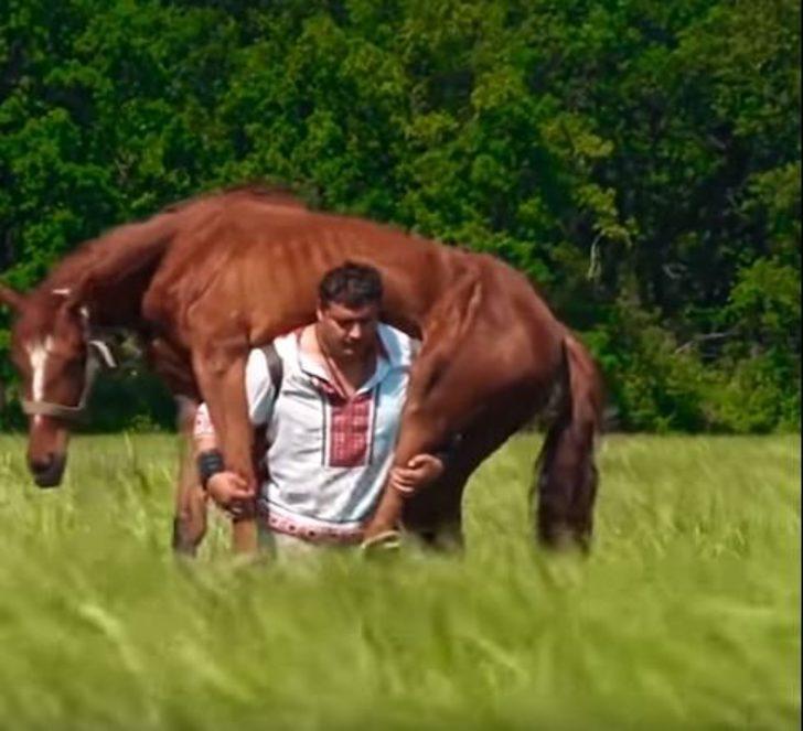 400 kiloluk atı sırtladı.. G3