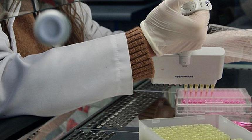 Ege Üniversitesi Türkiye’de ve uluslararası arenada yükseldi…