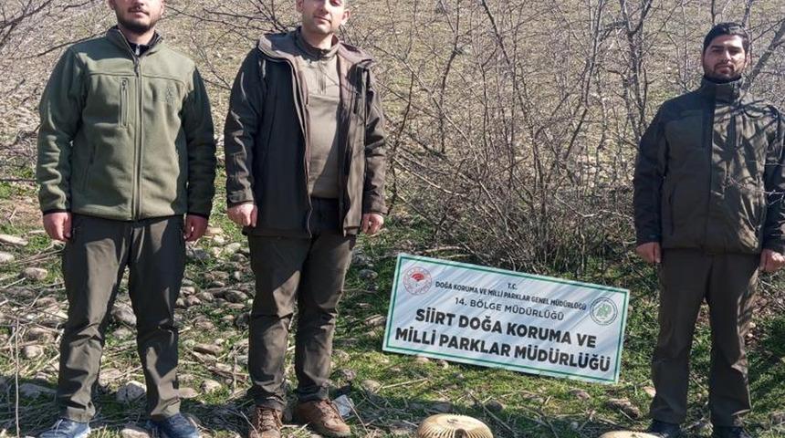 Ka&ccedil;ak avlananlara ağır fatura! 28 bin lira ceza kesildi