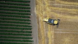 Rusya’nın Afrika’ya tarım ürünleri ihracatı yüzde 19 arttı