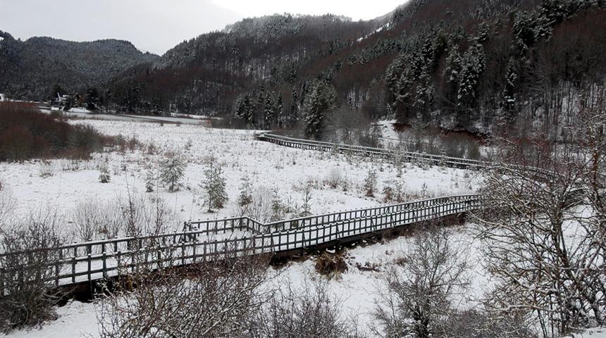 Yedigöller Milli Parkı’nda karavanlı konaklama, Abant’ta şambrelle kaymak yasaklandı!