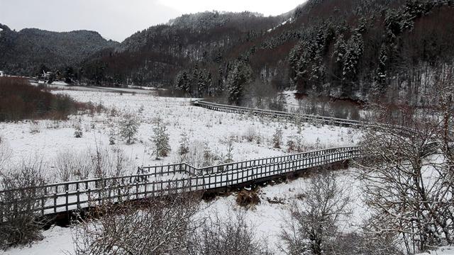 Yedigöller Milli Parkı’nda karavanlı konaklama, Abant’ta şambrelle kaymak yasaklandı!