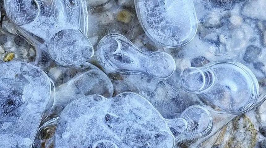 Dondurucu soğuklara bile dayanmışlar! Çinli bilim insanlarından şok edici keşif: 6 yeni bakteri cinsi ve 7 yeni bakteri türü keşfedildi