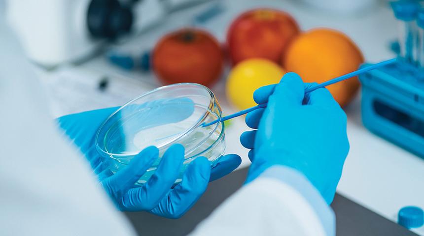 İngiltere laboratuvar üretimi gıdaların satışını iki yıl içinde onaylamayı planlıyor