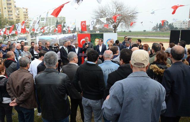 Tece sahiline zeytin ağacı dikildi