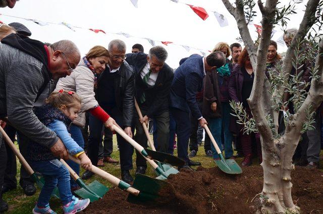 Tece sahiline zeytin ağacı dikildi