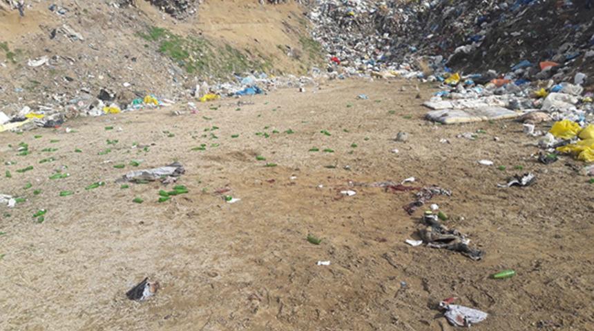 Korkunç ölüm! Vahşi hayvanlar saldırdı...