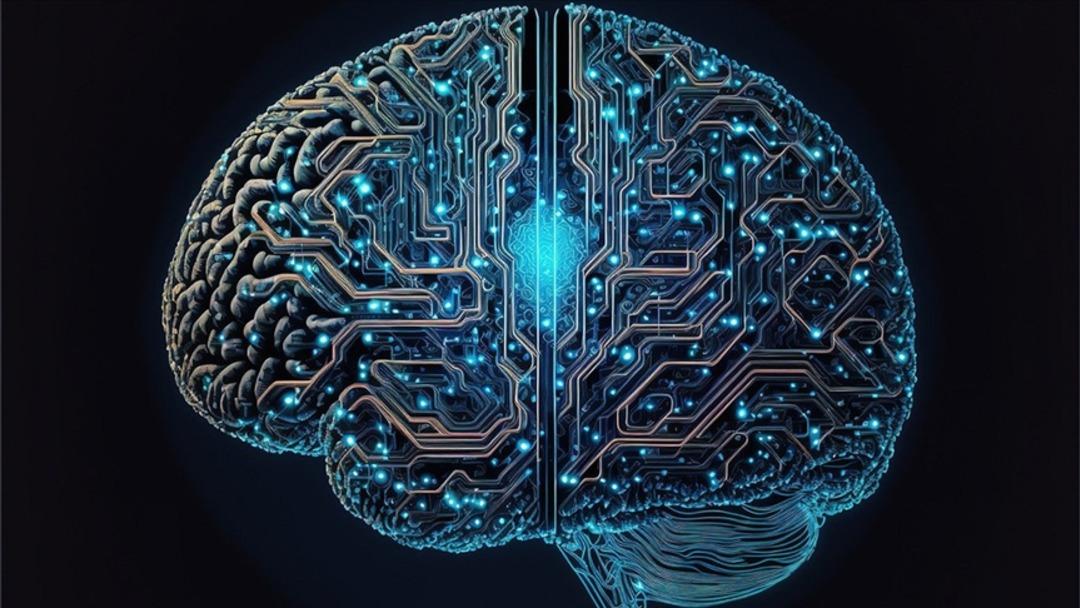 Erkek ve kadın beyni arasında fark var mı? Bilimsel araştırmalar yapıldı…  5