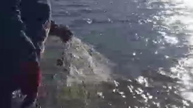 Eğirdir Gölü'nde kaçak avcılıkla mücadele