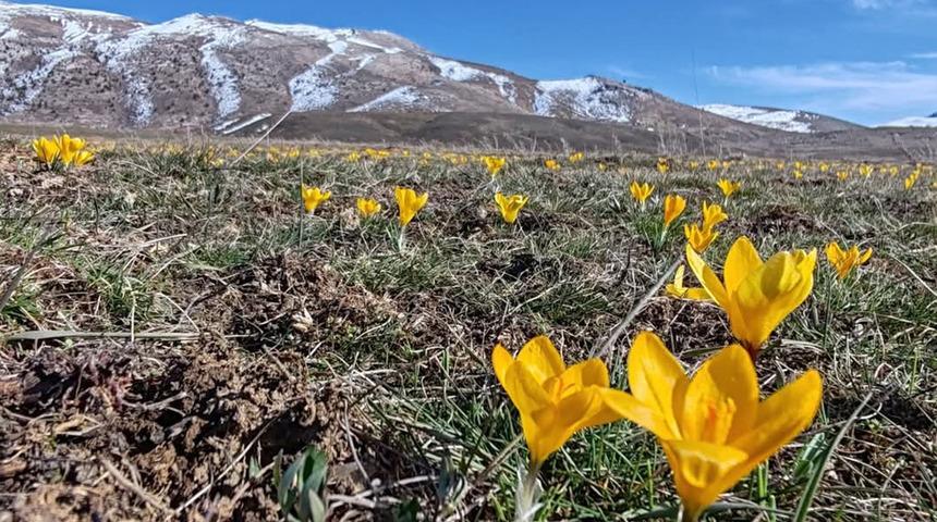 Bozkır'da kuraklık alarmı! Göl kurudu, gözler bahar yağmurlarında: "Bu sene şelalenin bile kuruduğunu görebiliriz"