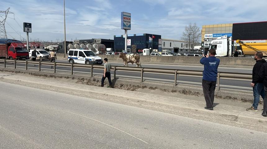 D-100'e çıktı, ortalığı birbirine kattı