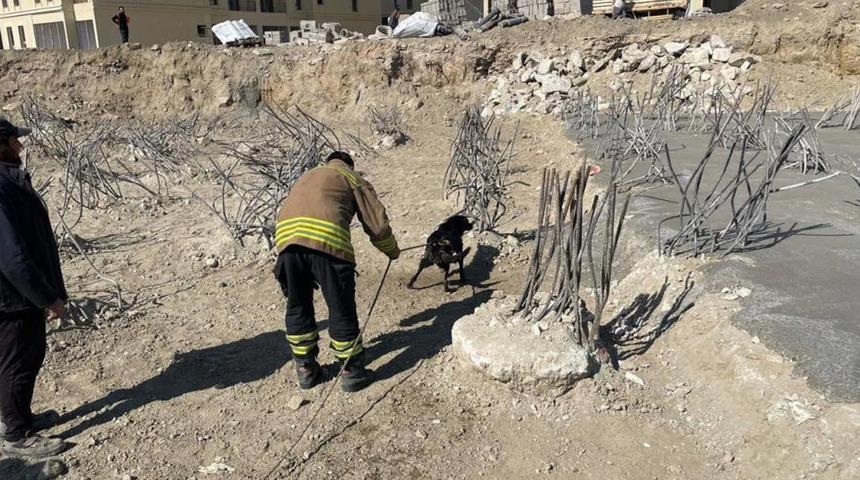 İnşaat alanındaki 15 metrelik &ccedil;ukura d&uuml;şen k&ouml;pek kurtarıldı