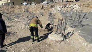 İnşaat alanındaki 15 metrelik çukura düşen köpek kurtarıldı