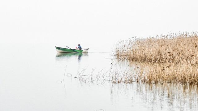 14 yıldır Yaren Leylek'i izleyen Alper Tüydeş: “Her leylek sürüsünde umutla bekliyoruz”