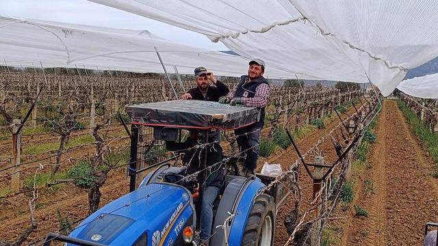 Üretici don olayına karşı önlem almaya başladı!