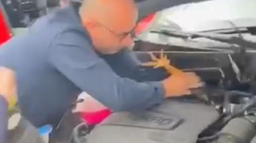 Araç motoruna bu kez kedi değil, horoz girdi