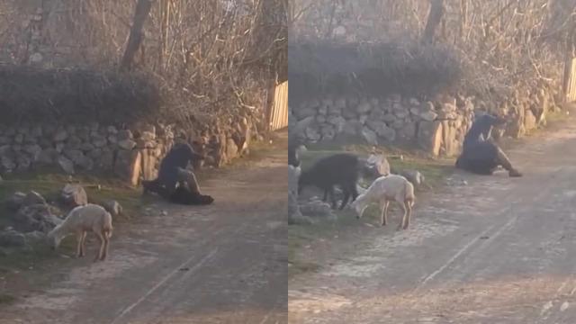 Küçükbaş hayvana eziyet ettiği anlar tepki çekmişti! Soruşturma başlatıldı
