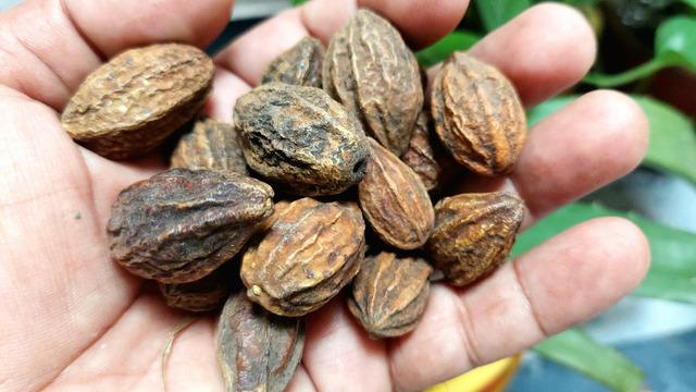 Sarı halile nedir, nasıl kullanılır? Sarı halile ile kara halile arasındaki fark