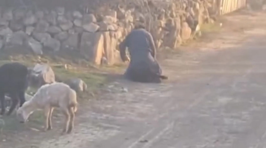 Koyuna eziyet eden gözaltında! Görüntüler tepki çekmişti