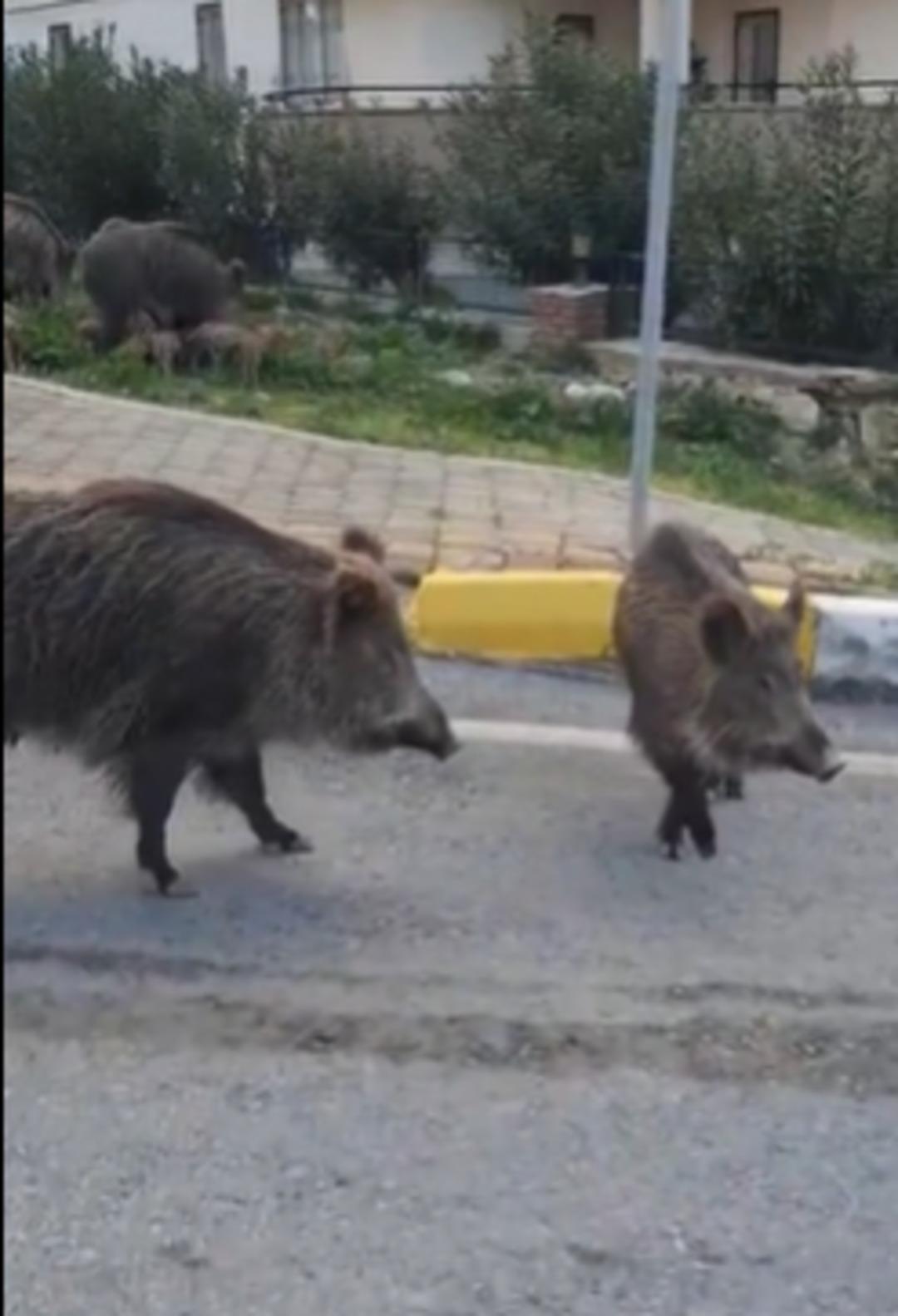 Ekran görüntüsü 2025-03-14 124351