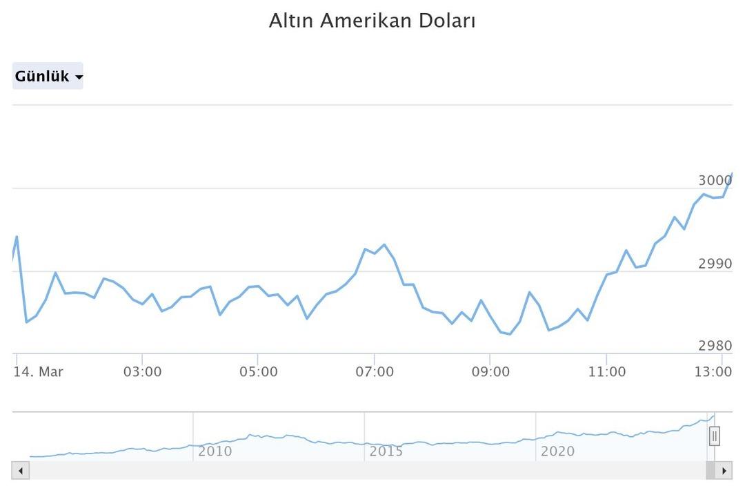 altn-amerikan-dolar (6)