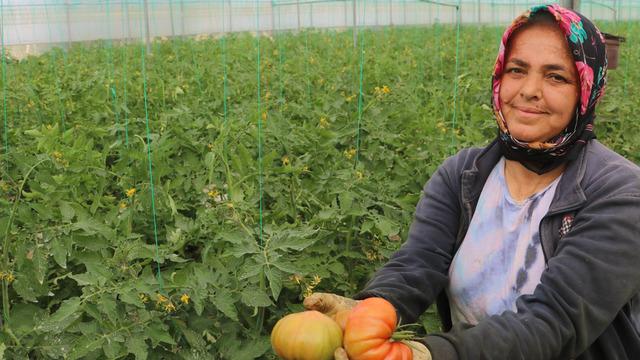 Tarlada 28 lira market rafında 100 lira! 'Üretici de tüketici de mağdur' Don olayı çiftçiyi vurdu