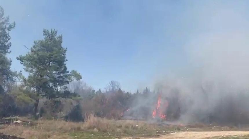 Bursa'da korkutan orman yangını