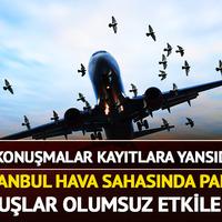 İstanbul hava sahasında leylek paniği!