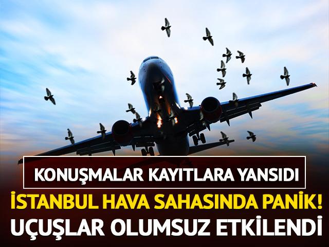 İstanbul hava sahasında leylek paniği!