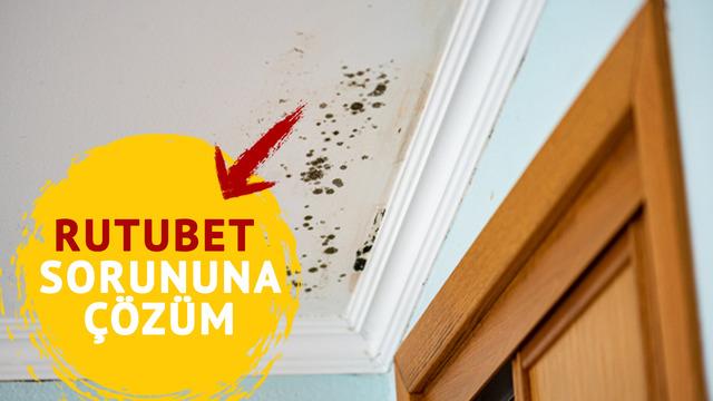 Evde rutubet sorunu nasıl giderilir? Etkili ve kalıcı çözümleri…