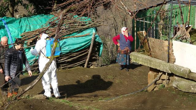 Kesilen hayvanda şarbon mikrobuna rastlandı, mahalle karantinaya alındı