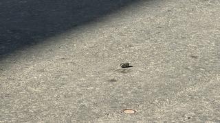 Yer: Kayseri! Tartıştığı eniştesi tarafından tabancayla vuruldu