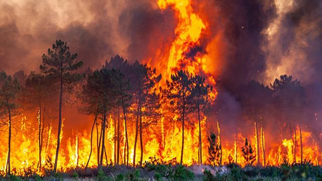 Uzman isim açıkladı! İklim değişikliği gümbür gümbür geliyor... 'Kırbaç' etkisi, Türkiye'yi tehdit ediyor
