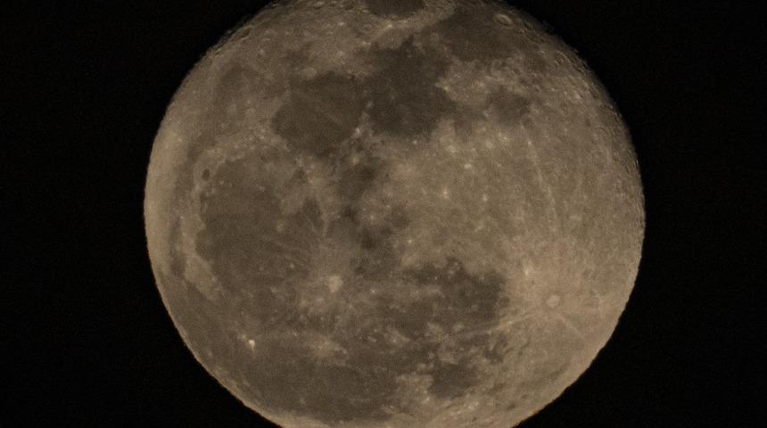 Bu görüntüler ABD'den... 'Solucan Ay'dan olağanüstü manzara! "İlkbaharın yaklaştığının güçlü bir işareti"